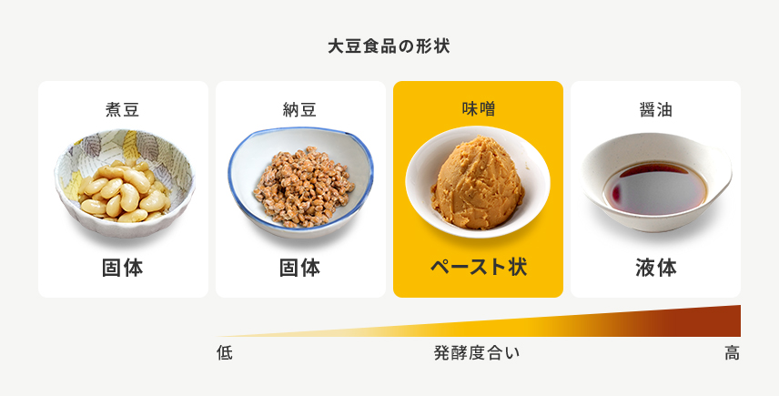 大豆食品の形状