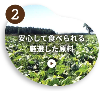 安心して食べられる厳選した原料