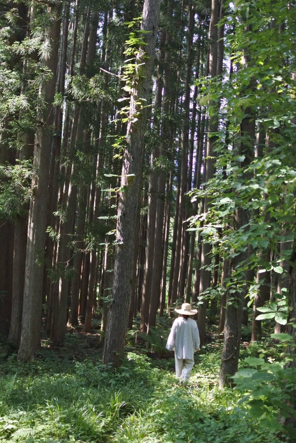 小さくて大きな野望