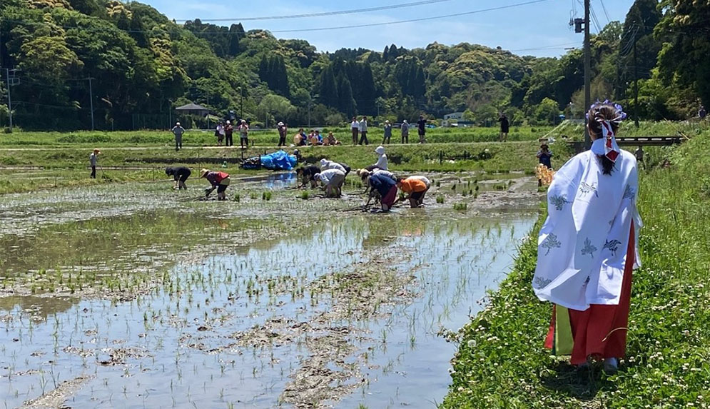 昔からの米作りを引き継ぎたい。その理由