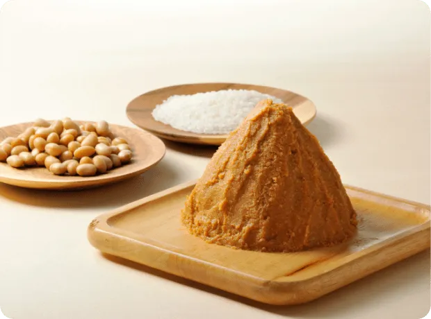 発酵食品としての味噌󠄀：腸活の強い味方