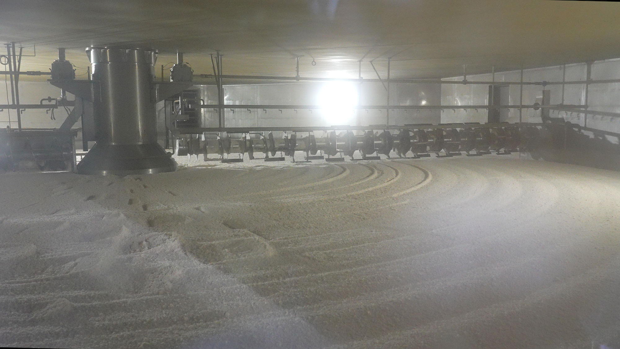 参加者全員で御神酒を飲む様子