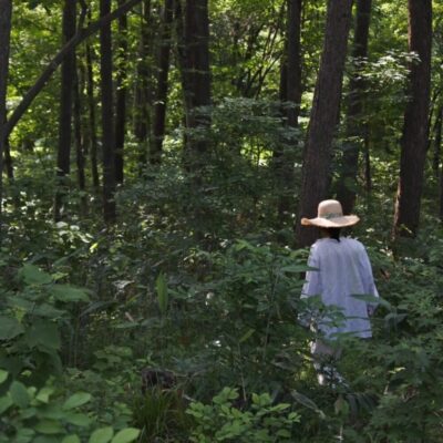 ウェルビーイングのためのコラム「日々ととのえる」にて、新コンテンツ<br>わたしを整えてくれるもの 「食べること、温めること、描くこと」　を公開しました。