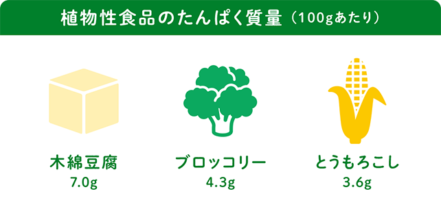 植物性食品のたんぱく質量（100gあたり）木綿豆腐 7.0g / ブロッコリー 4.3g / とうもろこし 3.6g