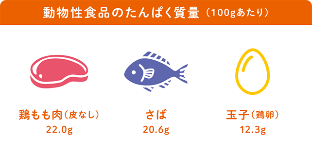 動物性食品のたんぱく質量（100gあたり）鶏もも肉（皮なし） 22.0g / さば 20.6g / 玉子（鶏卵） 12.3g